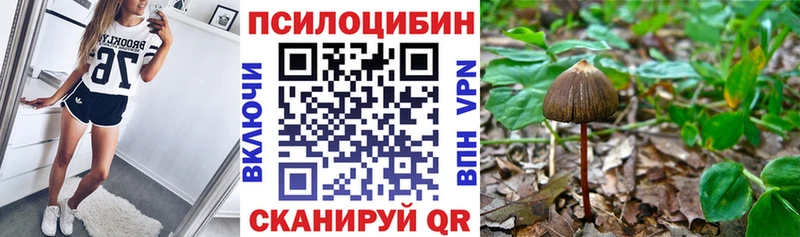 Галлюциногенные грибы MAGIC MUSHROOMS  Новый Уренгой 